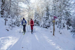 WEDZE Backcountry Skis With Bindings And Skins - XLD 500 Black/Blue -Winter Sports Gear backcountry skis with bindings and skins xld 500 black blue 15