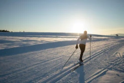 Cross-Country Skin Skis + Bindings - 900 Rottefella Xcelerator -Winter Sports Gear classic cross country skin ski 900 bindings rottefella xcelerator 9