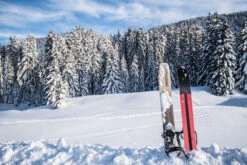 Cross-Country Ski Snowshoes - BC 500 -Winter Sports Gear cross country ski snowshoes bc 500 6