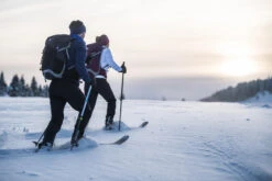 Cross-Country Ski Snowshoes - BC 500 -Winter Sports Gear cross country ski snowshoes bc 500 7