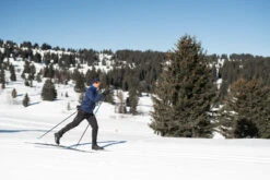 Cross-Country Skis With Xcelerator Bindings - XC S 550 Skins Soft Camber -Winter Sports Gear cross country skis with xcelerator bindings xc s 550 skins soft camber 6