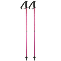 WEDZE Downhill Ski Push Pin Poles - Kids