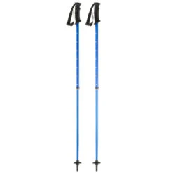WEDZE Kids' Push Pin Ski Poles - Blue